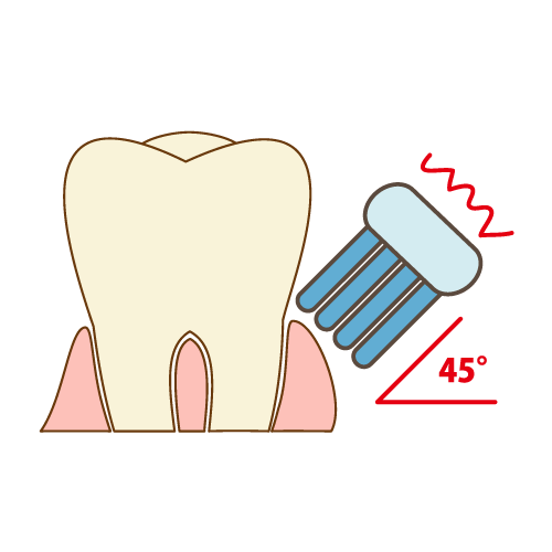 奥歯の歯磨き（45度で小刻みに動かす）