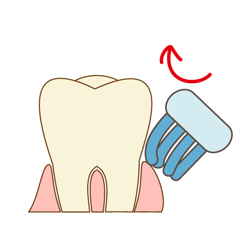 奥歯の歯磨き（掻き出すように磨く）