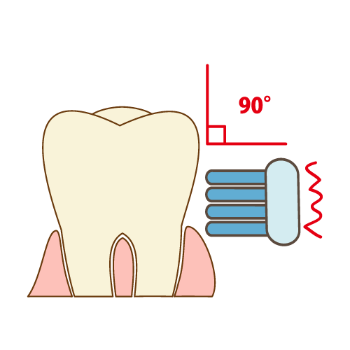奥歯の歯磨き（90度で小刻みに動かす）