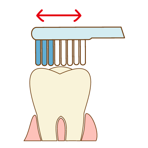 奥歯の歯磨き（ブラシを縦に動かす）
