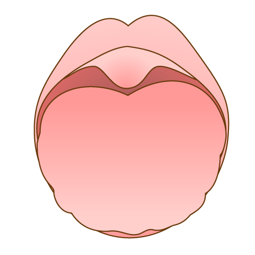 ギザギザの舌