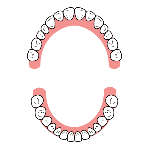 歯列弓の形 イラスト一覧 歯科素材 Com 歯医者さん向け無料イラスト