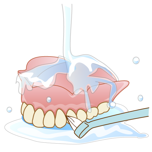 入れ歯の洗浄（ブラシで磨く）