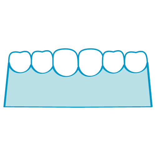 歯と歯茎のアイコン