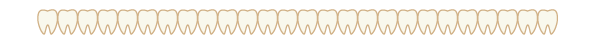 歯の区切り線（整列）