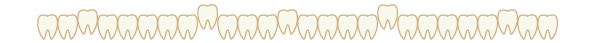 歯の区切り線（凸凹）