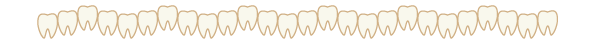 歯の区切り線（波）