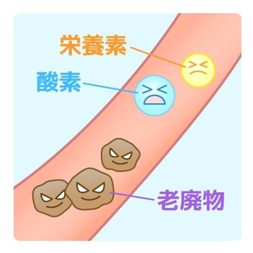 ニコチンの血管収縮作用（喫煙者）キャプション付き