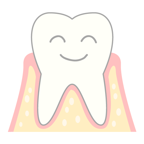 歯周病のメカニズム（健康な状態）