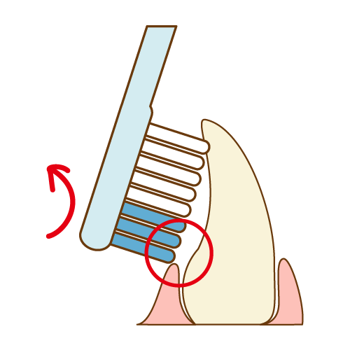 前歯の歯磨き（歯の裏を磨く）