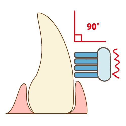 前歯の歯磨き（90度で小刻みに動かす）