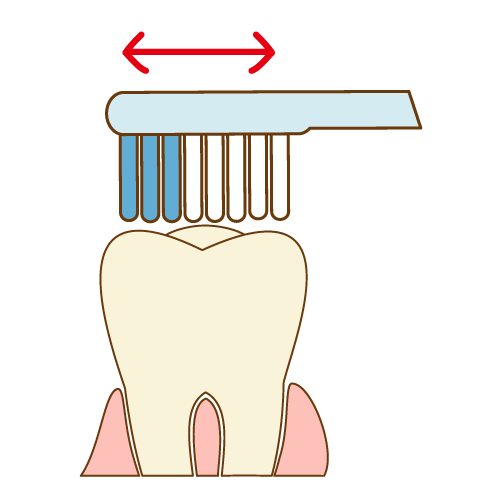 歯ブラシの角度 イラスト一覧 歯科素材 Com 歯医者さん向け無料イラスト