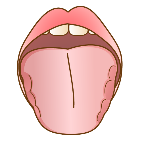 歯痕舌（しこんぜつ）